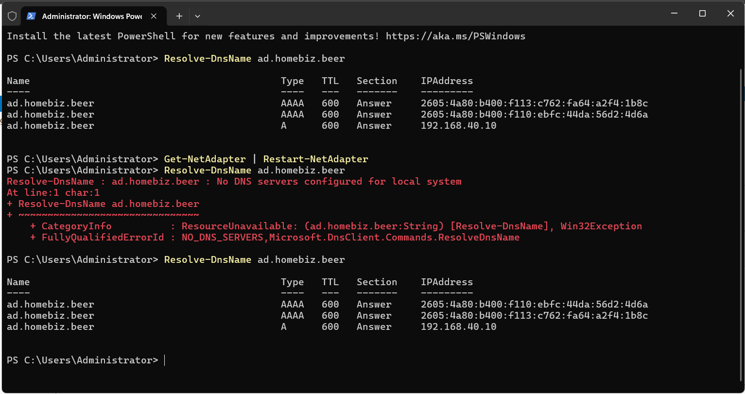 DNS resolution verified