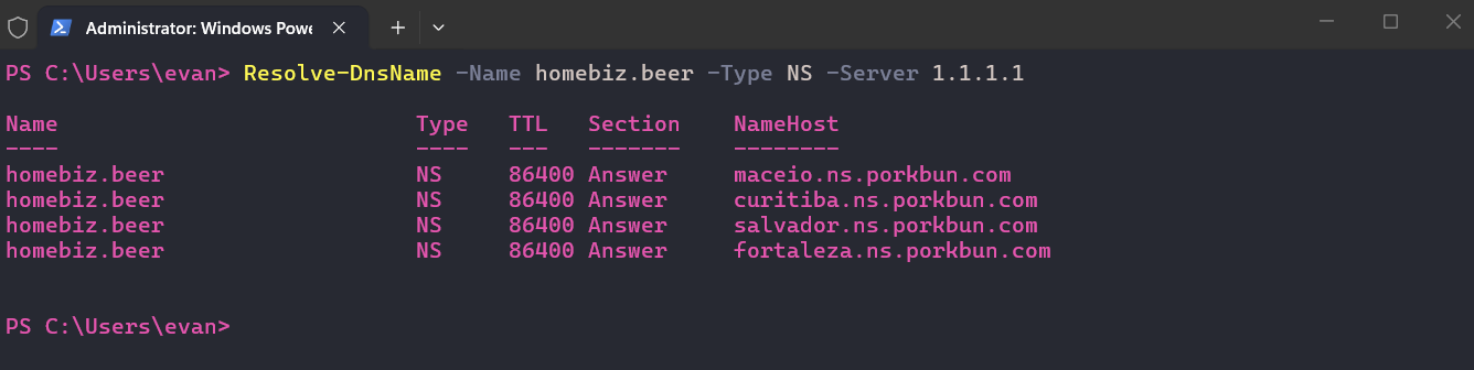 Initial Resolve-DnsName query