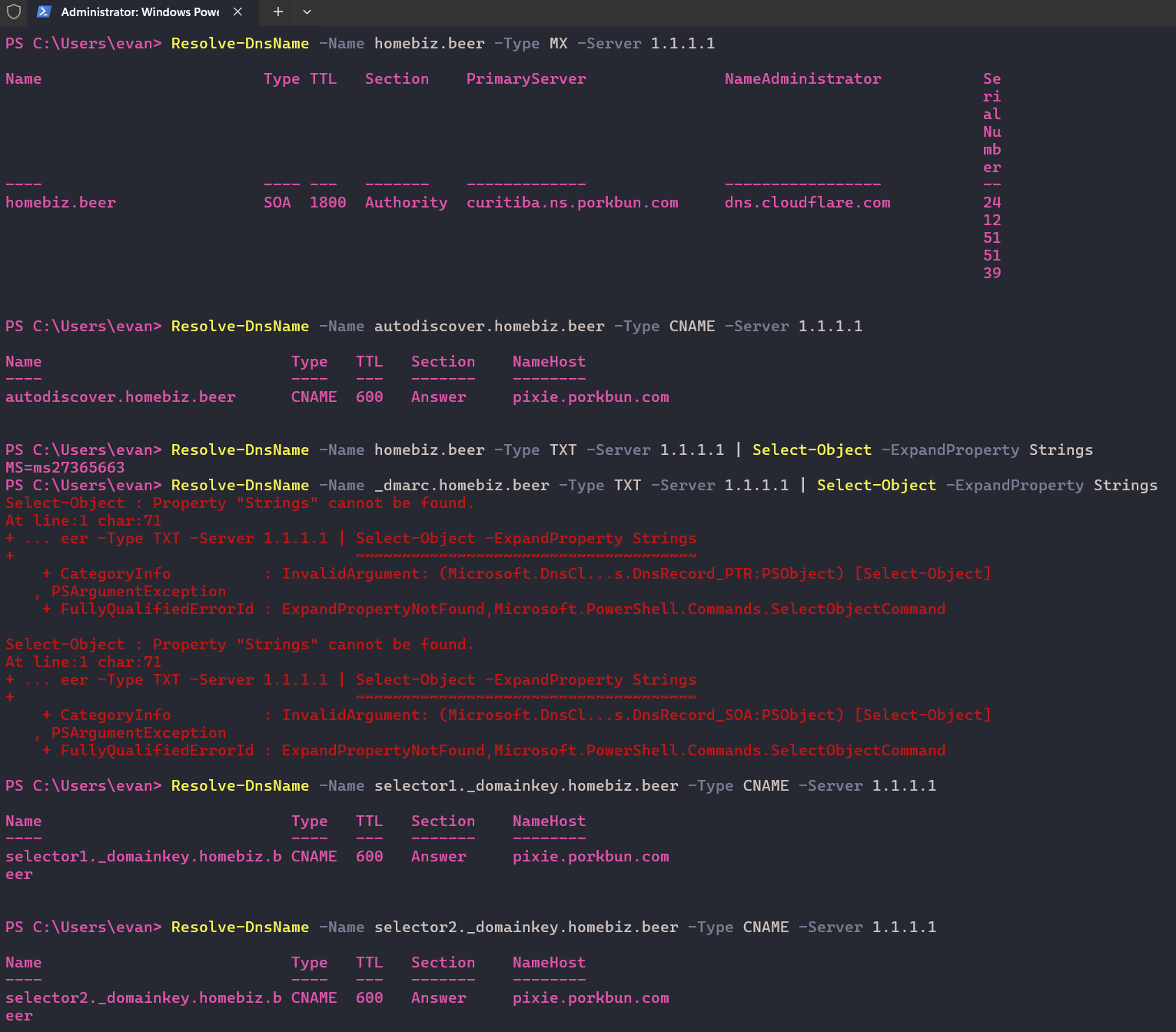 Initial DNS inventory