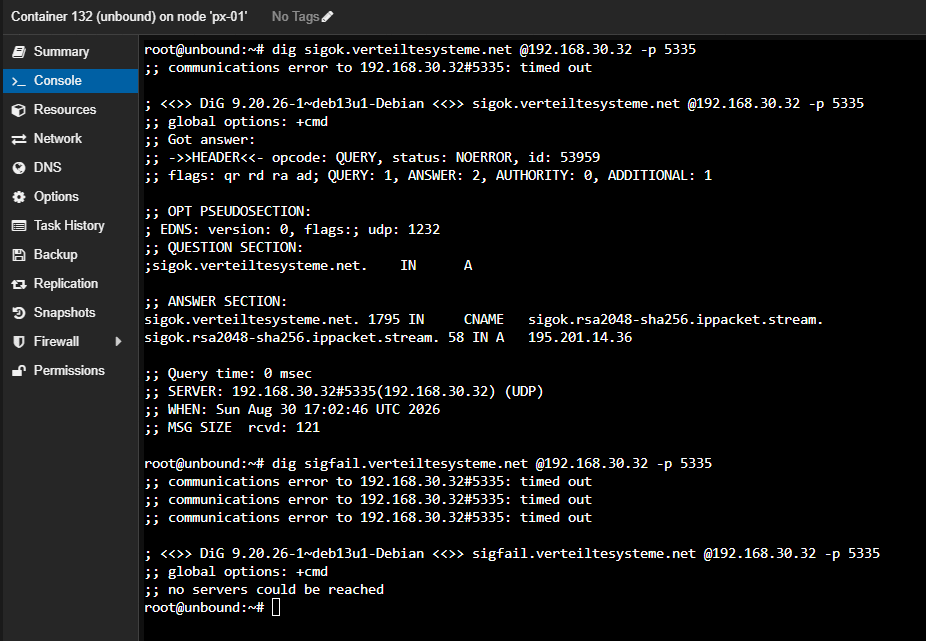 Series of dig tests confirming resolver behavior